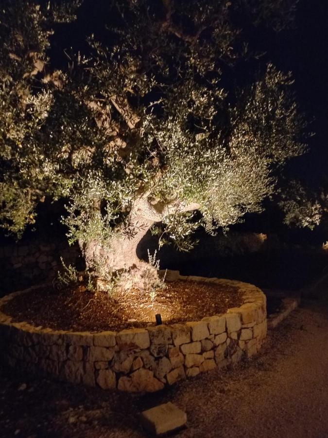 فيلا Il Nido Delle Rondini تْشيستيرنِنو المظهر الخارجي الصورة